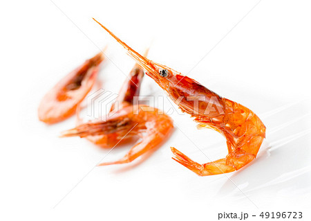 干し甘海老 49196723