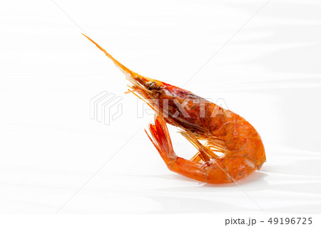 干し甘海老 49196725