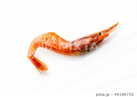 干し甘海老 49196730