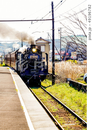 大井川鐵道　SL C56型44号機　新金谷駅 49196782