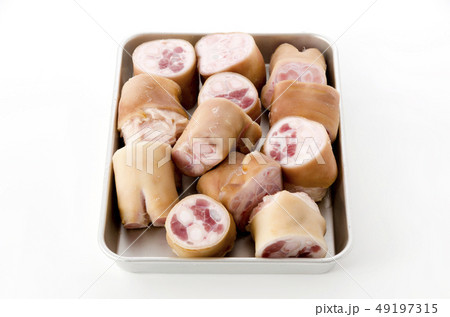 豚足先(チマグー) 豚足先(チマグー) 49197315