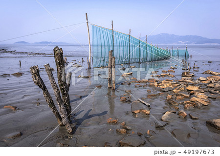 干潟 江華島 江華郡 49197673