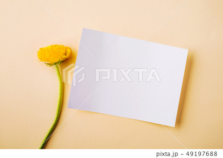 Easter and spring flat lay on a cream background. Copy space. Easter and spring flat lay on a cream background. Copy space. 49197688