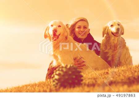 Pets and dogs.training and educating dogs.Companion pets concept 49197863