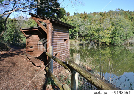 野鳥観察小屋 野鳥観察小屋 49198661