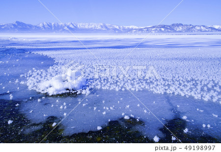 厳冬 屈斜路湖のフロストフラワー 厳冬 屈斜路湖のフロストフラワー 49198997