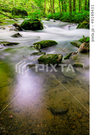 奥入瀬渓流 奥入瀬渓流 49199431