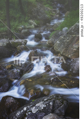 A foggy day 49200213