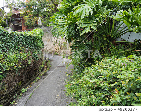 沖縄　壺屋通りの裏道 49200377