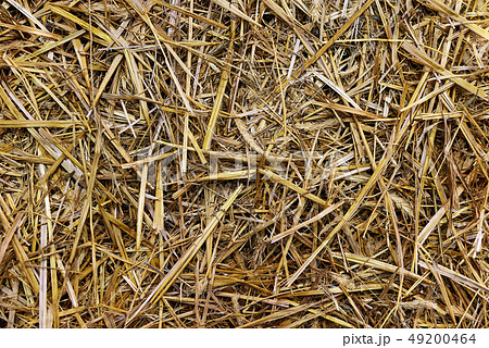 Straw agriculture background 49200464