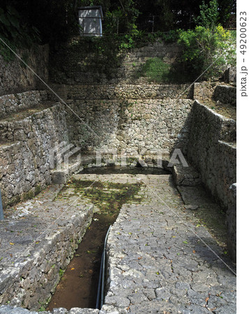 沖縄 金城フィージャー 沖縄 金城フィージャー 49200623