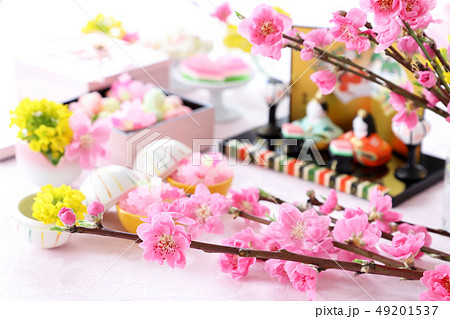 おひな祭り　桃の花　 49201537