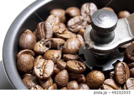 コーヒー　コーヒーミル　コーヒー豆　コピースペース 49202035