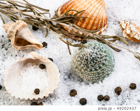 seashells, coarse grained Sea Salt and peppercorn seashells, coarse grained Sea Salt and peppercorn 49202437