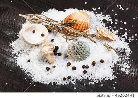various shells and coarse grained Sea Salt 49202441