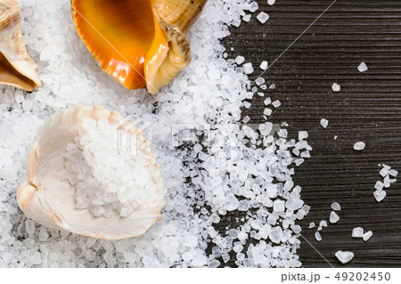 coarse grained Sea Salt and shells on table 49202450