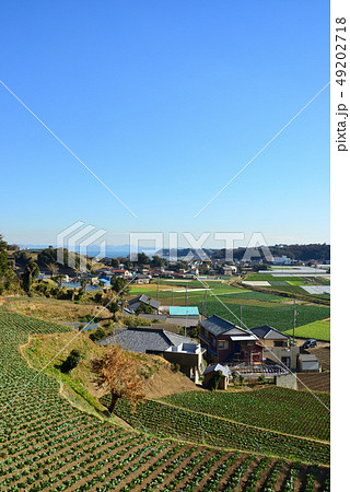 三浦市南下浦金田付近の風景 49202718