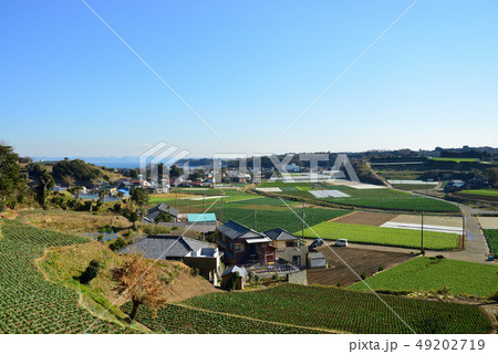 三浦市南下浦金田付近の風景 49202719