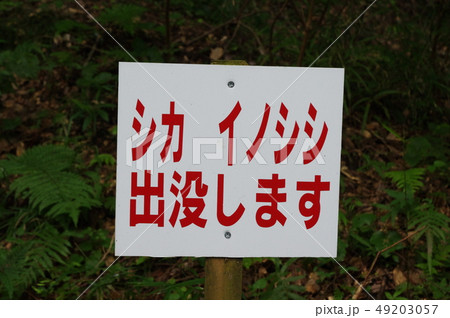 シカ・イノシシ出没 49203057