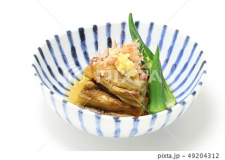 焼きナス、家庭料理、和食 焼きナス、家庭料理、和食 49204312