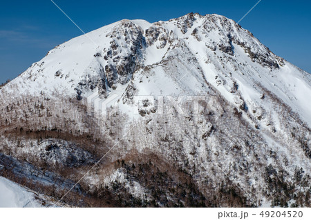 三月　雪を纏う日光白根山　（前白根山からの眺望） 49204520
