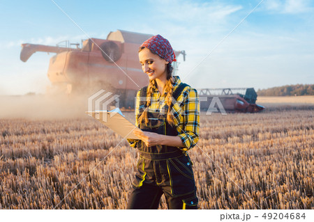 Farmer on a field during harvest with clipboard Farmer on a field during harvest with clipboard 49204684