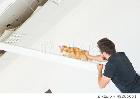 People, renovation, pet and repair concept - Portrait of funny man with cat doing redecoration in People, renovation, pet and repair concept - Portrait of funny man with cat doing redecoration in 49205051