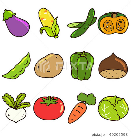 シンプルで可愛い色々な野菜のイラストセット 主線ありのイラスト素材