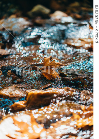 Photo of a mountain river in the forest 49207878