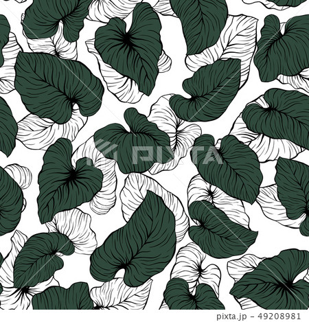 Falling Contrast Outline Palm Leaves Seamless Vector Pattern Falling Contrast Outline Palm Leaves Seamless Vector Pattern 49208981