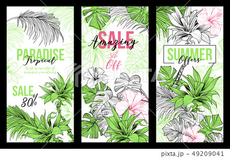Paradise Sale or Offers vertical vector banners. Green palmae or jungle arecaceae. 49209041