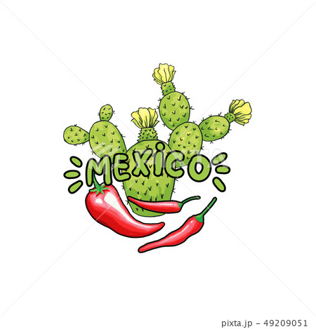 Mexico Lettering with Green letters and Red pepper. Isolated Logo Design Mexico Lettering with Green letters and Red pepper. Isolated Logo Design 49209051