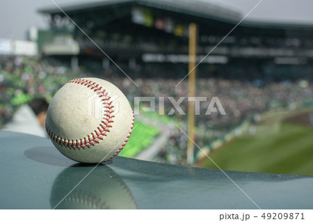甲子園 外野席 49209871