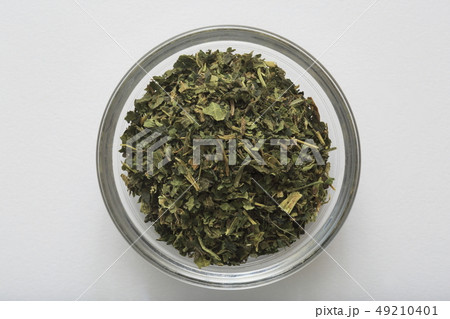 (ハーブ) ネトル (ハーブ) ネトル 49210401