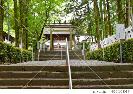 井伊谷宮　参道 49210847