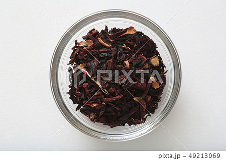 《ハーブ》　ハイビスカス 49213069