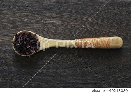 《ハーブ》　ハイビスカス 49213080