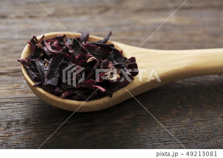 《ハーブ》　ハイビスカス 49213081