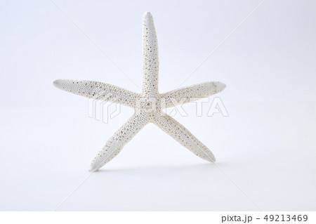 White starfish on white background 49213469