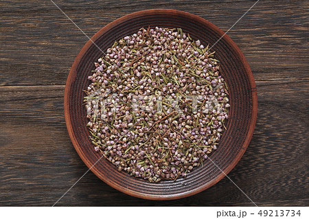 《ハーブ》 ヒース 和名:ギョリュウモドキ 《ハーブ》 ヒース 和名:ギョリュウモドキ 49213734