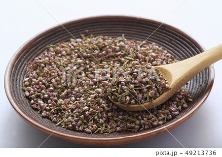 《ハーブ》　ヒース　和名：ギョリュウモドキ 49213736