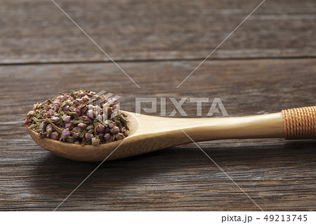 《ハーブ》 ヒース 和名:ギョリュウモドキ 《ハーブ》 ヒース 和名:ギョリュウモドキ 49213745