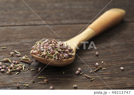 《ハーブ》 ヒース 和名:ギョリュウモドキ 《ハーブ》 ヒース 和名:ギョリュウモドキ 49213747