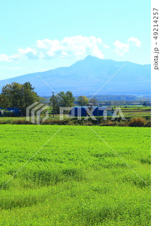 斜里岳と田園風景 49214257