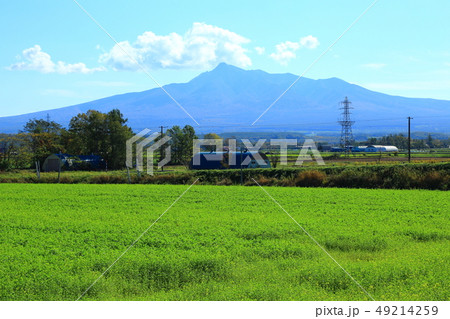 斜里岳と田園風景 49214259