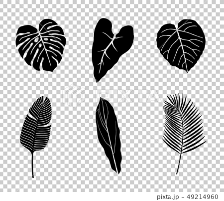 熱帯植物 イラストアイコンセットのイラスト素材