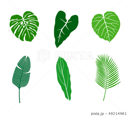 熱帯植物 イラストアイコンセットのイラスト素材