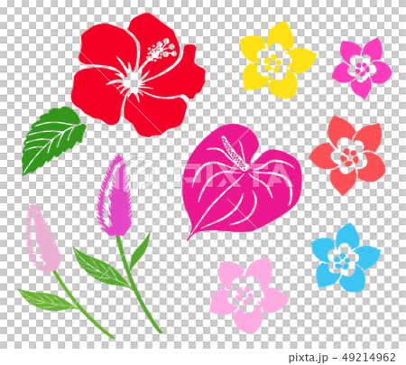 熱帶花卉圖標集 熱帶花卉圖標集 49214962