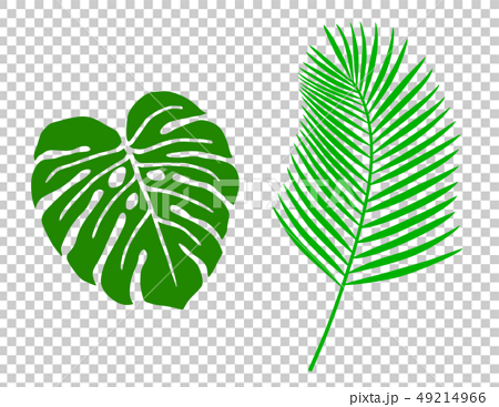 熱帯植物の葉 イラストアイコンセットのイラスト素材