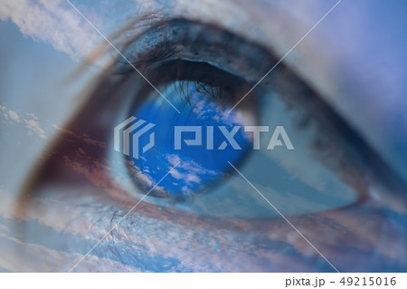 イメージ 49215016